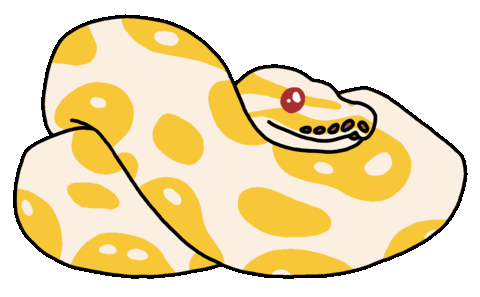 Morph Ball Python Sticker for iOS & Android | GIPHY