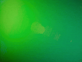 Brzazubi GIF by BRZ Deutschland