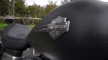 Riders_Point motorcycle harley sons of anarchy biker GIF