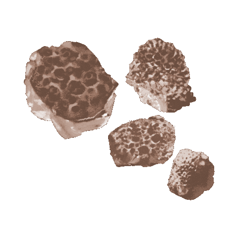 Full Circle Gin Sticker by fullcircledistillers