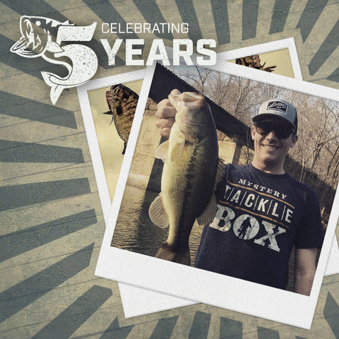 brettf90gmailcom  GIF