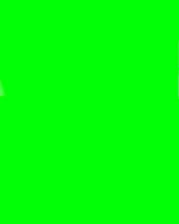 Gruenelsa GIF by Grüne Sachsen-Anhalt