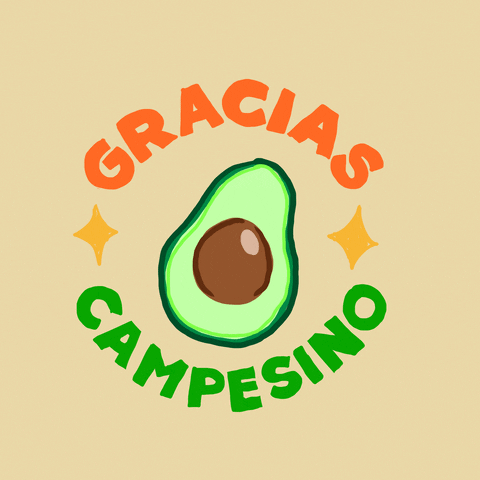Illustrated gif. Vibrant orange and green letters reading, "Gracias Campesino" arcs around a bright avocado while a yellow diamond star dots each side.