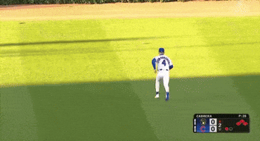 Error Cubs GIF