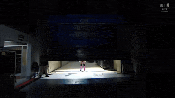 Cm Punk Door GIF