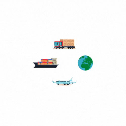 Illustration Travel GIF by Grupo Zeit