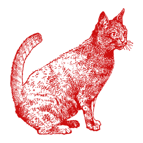 Cat Kitty Sticker by Henry Morris