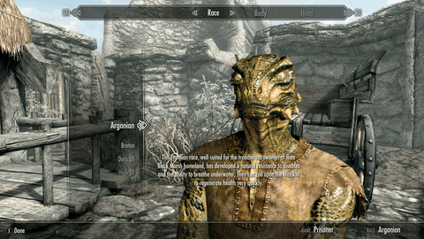 Elder Scrolls: General - Features I'd like to See in skyrim image 4
