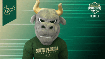 College Sports Bulls GIF by College Colors Day