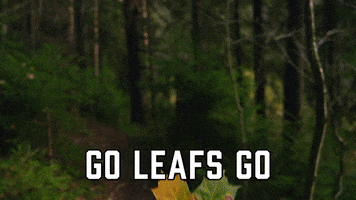 Toronto Maple Leafs Sport GIF by Sealed With A GIF