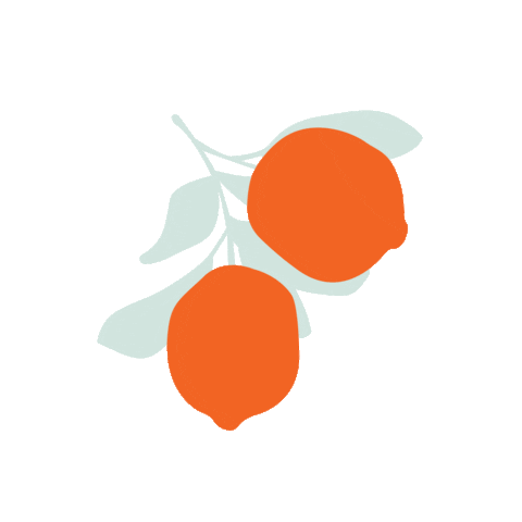 Carrefour Brasil Sticker