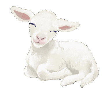 Source: meirha Source: meirha