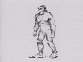 Unsolved Mysteries Bigfoot GIF by FILMRISE