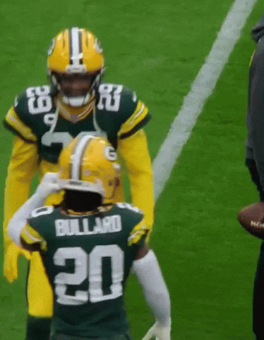 Green Bay Packers GIF