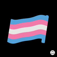 Trans Day Of Visibility Pride GIF by Southern Poverty Law Center