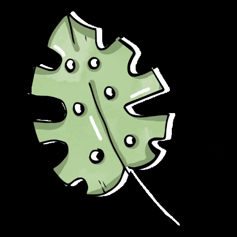 voteforpralka nature green leaf monstera GIF