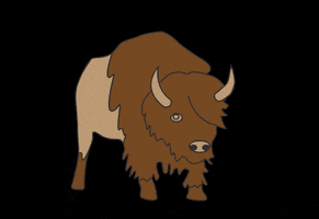 carlijnq organic collection rotterdam bison GIF
