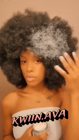 Kwiin Ava GIF