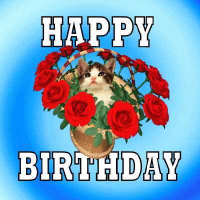 Digital compilation gif. Image of a real kitten edited to be sitting up in a garden basket of red roses, rocking forward and backward against a spiraling blue and white background. Text, "Happy birthday."