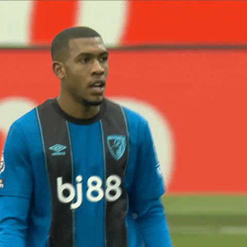 Premier League Ok GIF by AFC Bournemouth
