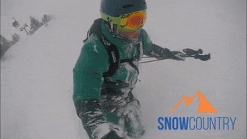 Snowcountry.eu GIF