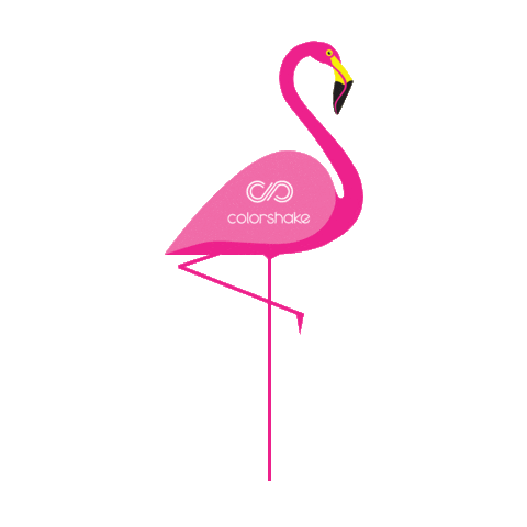 Flamingo Sticker by Colorshake