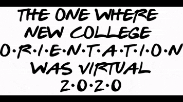 New College GIF by NCOrientation