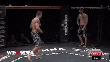 Wrestling Punch GIF by We love MMA