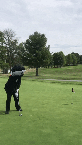 Celebrate Hole In One GIF by National Bohemian
