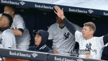 New York Yankees Reaction GIF by MLB