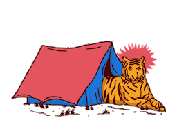 Surf Camping Sticker by Dreamseasurf