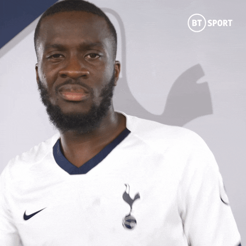 Harry Kane Spurs GIF by BT Sport - Find & Share on GIPHY