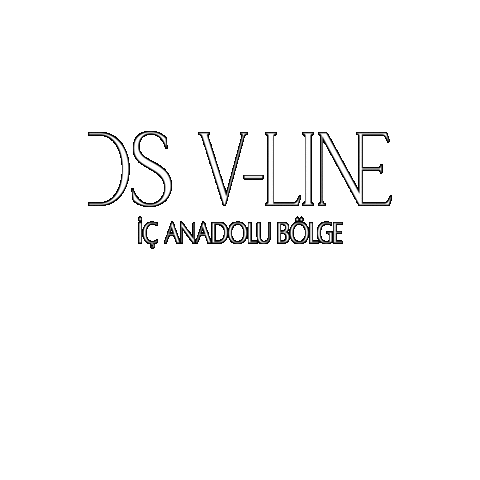 Dsvline İç Anadolu Sticker