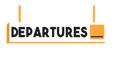 Delhi Airport Sticker