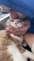 200.gif?cid=fc005b0896630505bed65a37a84f450c39f5a60695149e67&rid=200.gif&ct=g
