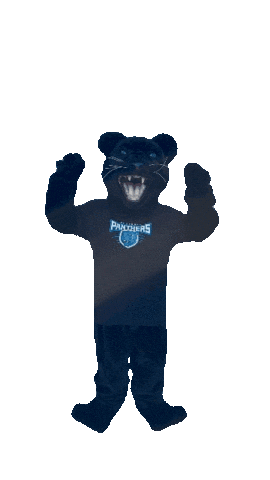 Academica Sticker by Somerset Panthers