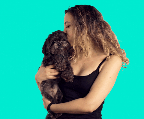 Pets Love GIF by Originals - Find & Share on GIPHY
