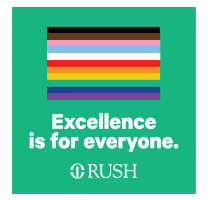 rushmedical pride flag rainbow flag excellence is for everyone excellence rush GIF