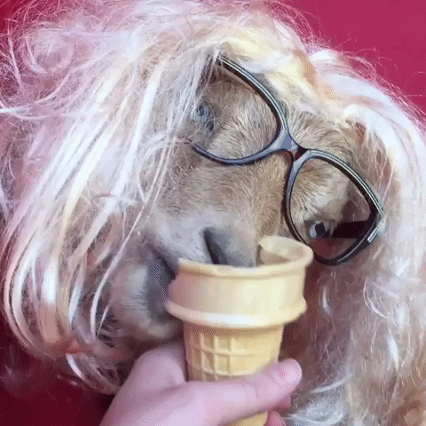Ice Cream Goat GIF by Storyful
