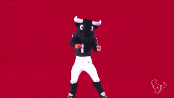 Toro Dancing GIF by Houston Texans