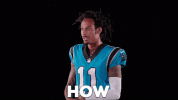 National Football League What GIF by Carolina Panthers