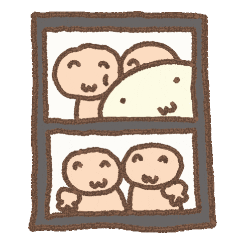 Photo Turtle Sticker