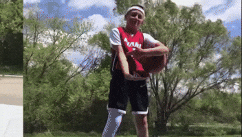 Angeloholke GIF