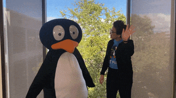 Penguin Waving GIF by ST Math