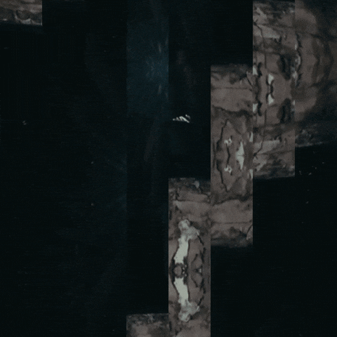 City Hiphop GIF by bigsoto