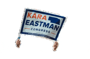 Election Kara GIF by karaforcongress