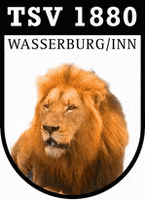 Wbg GIF by WasserburgerLöwen