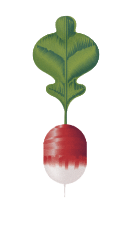 Happy Jump Sticker by FoodChéri