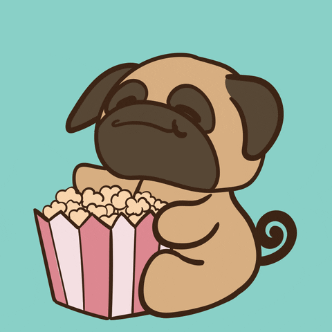 Pug Eating GIF by BeKyoot