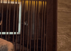 Feeling Myself Hello GIF by Pretty Dudes